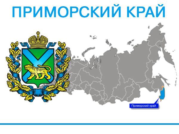 г. Владивосток, ул. Кирова, д. 44а